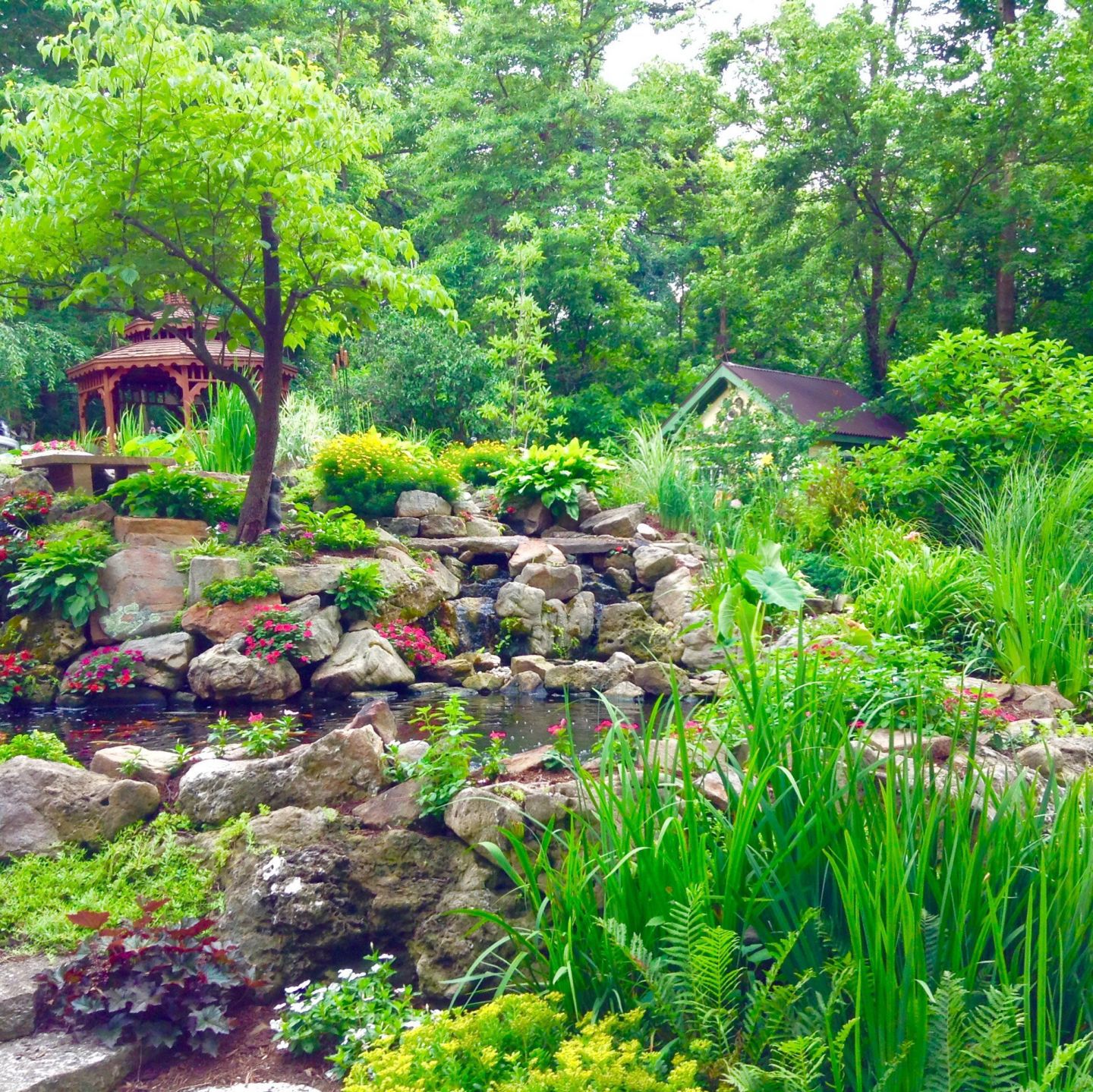Ginny's Garden